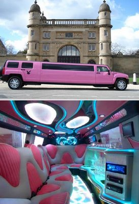 Cool Limousines