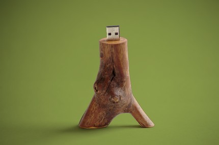 Handmade Wood Memory Stick