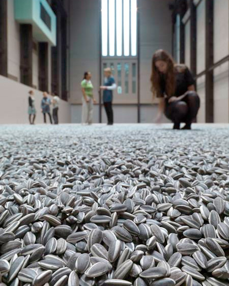 Floor of Seeds