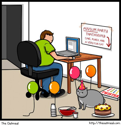 Cat VS Internet